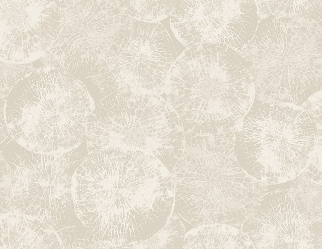 Seabrook Designs JP10707 Wallpaper - Eade's Wallpaper & Fabric