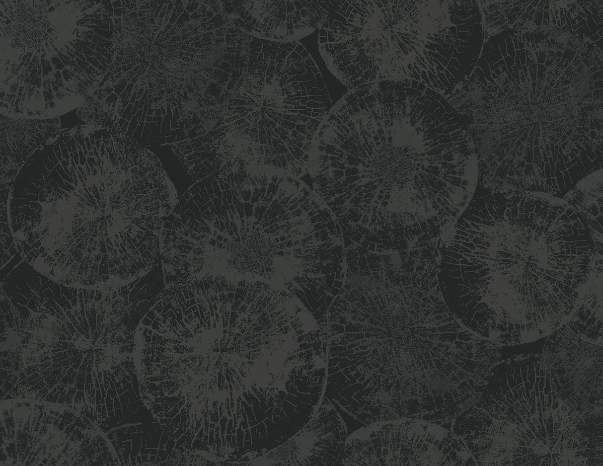 Seabrook Designs JP10710 Wallpaper - Eade's Wallpaper & Fabric