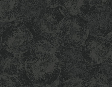 Seabrook Designs JP10710 Wallpaper - Eade's Wallpaper & Fabric