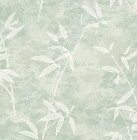 Seabrook Designs JP10904 Wallpaper - Eade's Wallpaper & Fabric