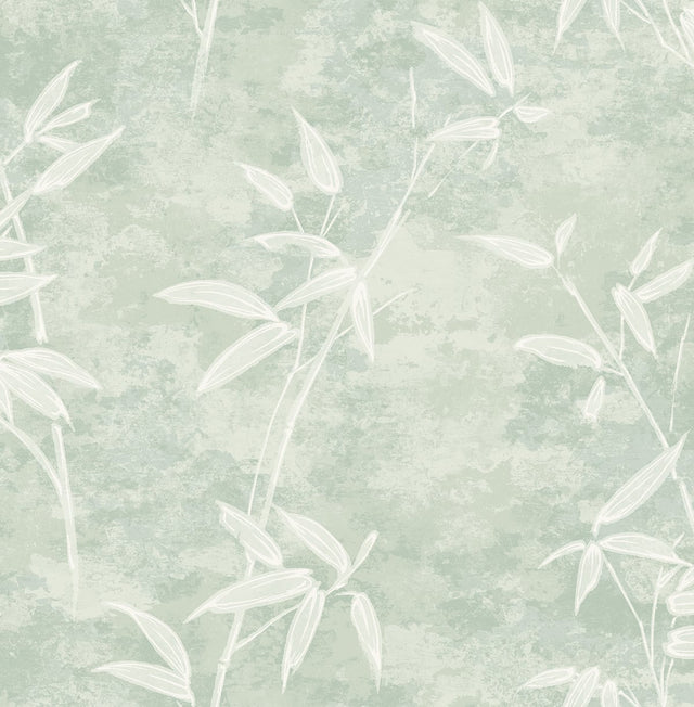 Seabrook Designs JP10904 Wallpaper - Eade's Wallpaper & Fabric