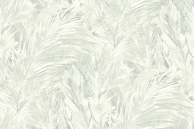 Seabrook Designs JP11004 Wallpaper - Eade's Wallpaper & Fabric