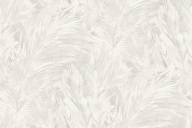 Seabrook Designs JP11018 Wallpaper - Eade's Wallpaper & Fabric