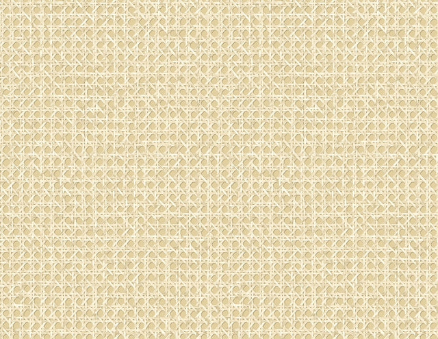 Seabrook Designs JP11203 Wallpaper - Eade's Wallpaper & Fabric