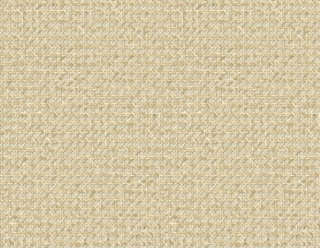 Seabrook Designs JP11205 Wallpaper - Eade's Wallpaper & Fabric
