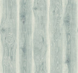 Seabrook Designs JP11302 Wallpaper - Eade's Wallpaper & Fabric