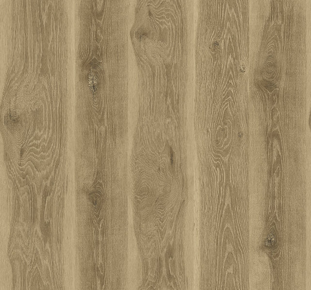 Seabrook Designs JP11307 Wallpaper - Eade's Wallpaper & Fabric