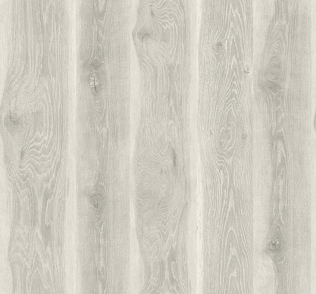 Seabrook Designs JP11308 Wallpaper - Eade's Wallpaper & Fabric