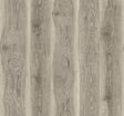 Seabrook Designs JP11315 Wallpaper - Eade's Wallpaper & Fabric