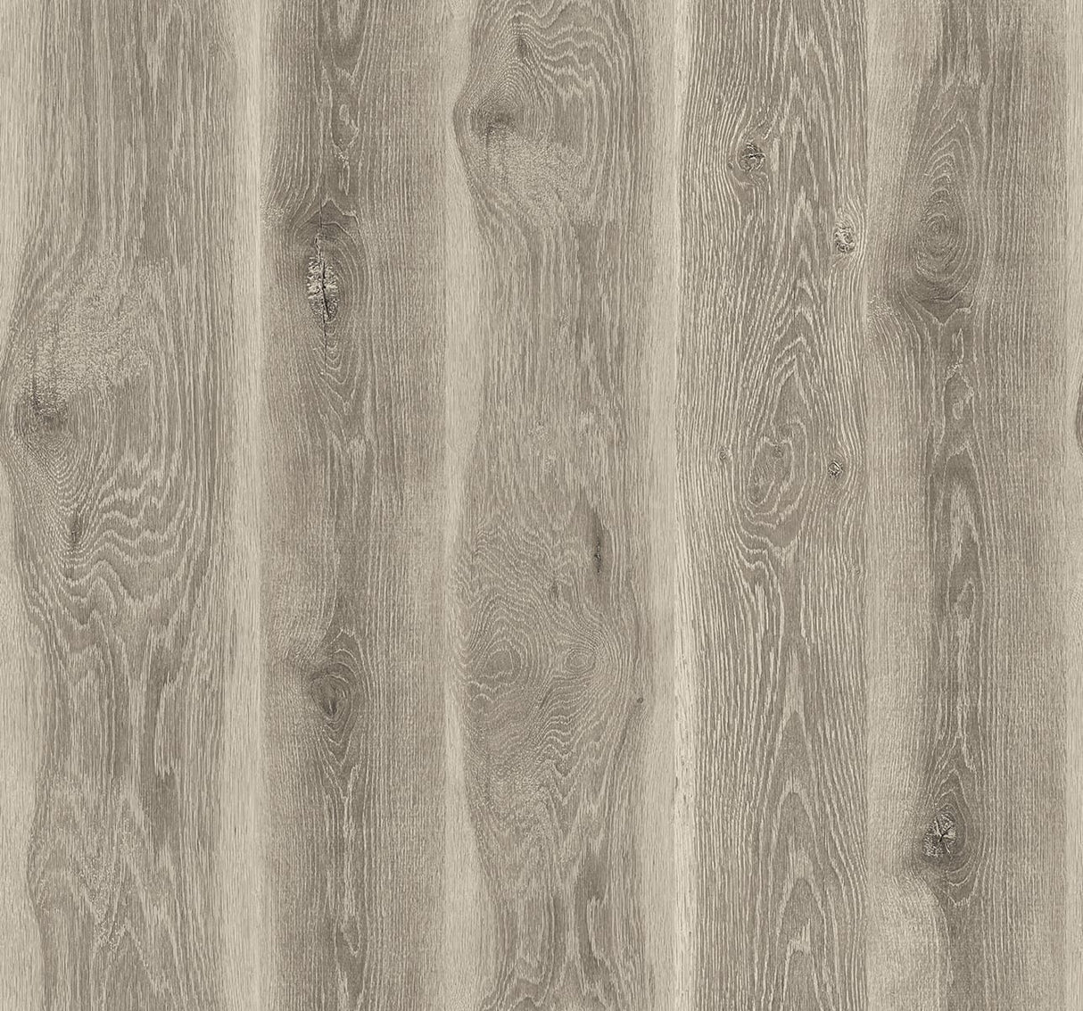Seabrook Designs JP11315 Wallpaper - Eade's Wallpaper & Fabric