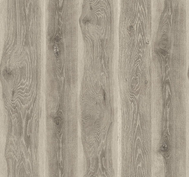 Seabrook Designs JP11315 Wallpaper - Eade's Wallpaper & Fabric