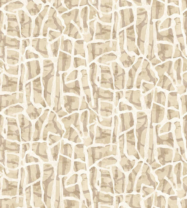 Seabrook Designs JP11505M Wallpaper - Eade's Wallpaper & Fabric