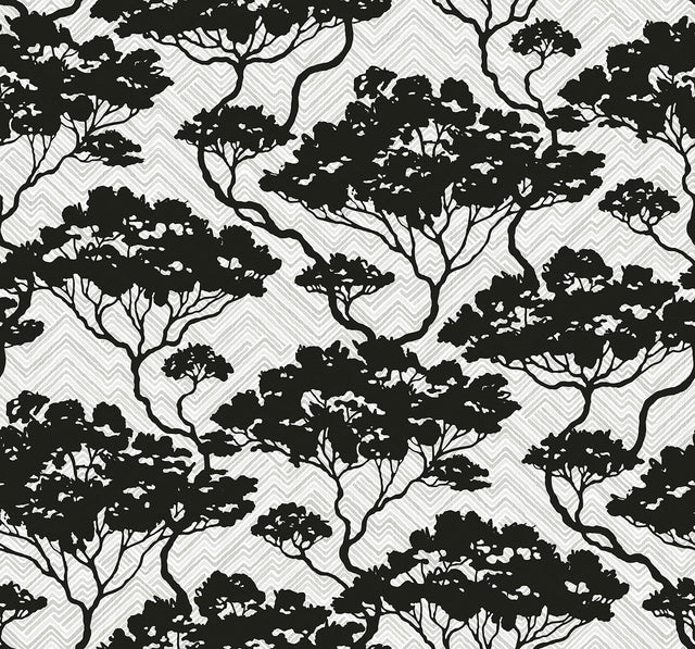 Seabrook Designs JP11700 Wallpaper - Eade's Wallpaper & Fabric