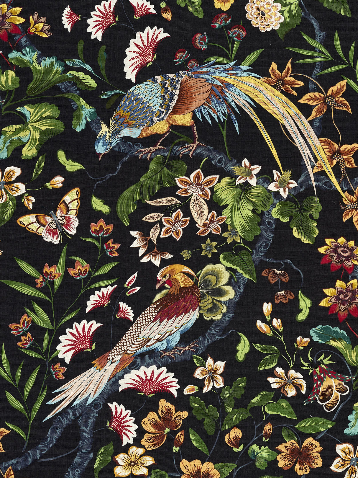 Scalamandre JP 00021340 BLACK RUBY BOTANY BAY Fabric - Eade's Wallpaper
