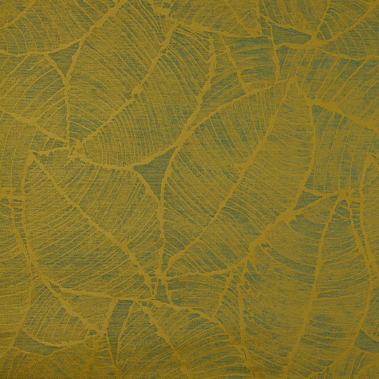 Eade’s # 842 OLIVE