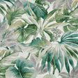 Eade’s # 526 EVERGLADES