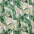 Eade’s # 521 ALOE