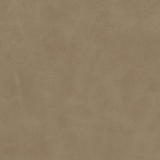 Eade’s # 827 SHIITAKE