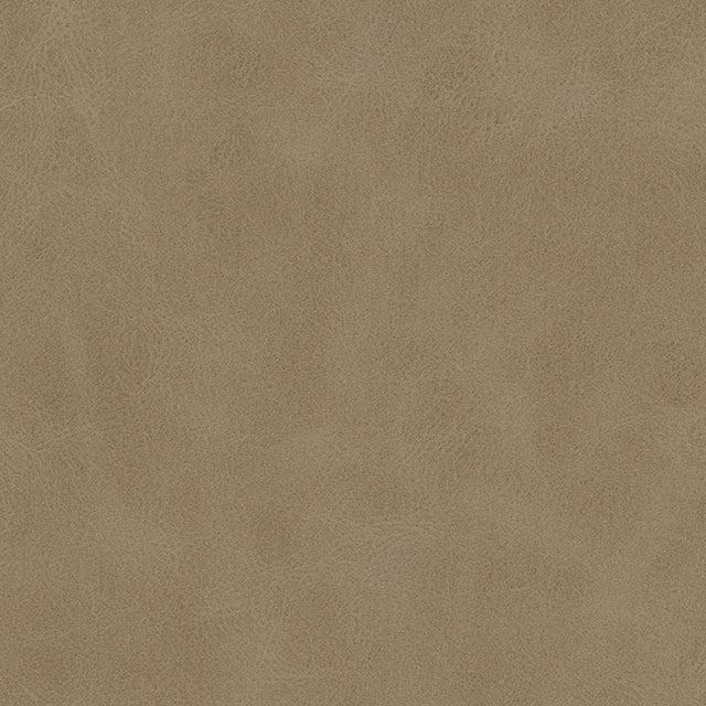 Eade’s # 827 SHIITAKE