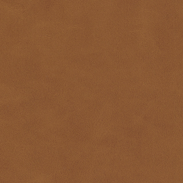 Eade’s # 828 BUTTERNUT