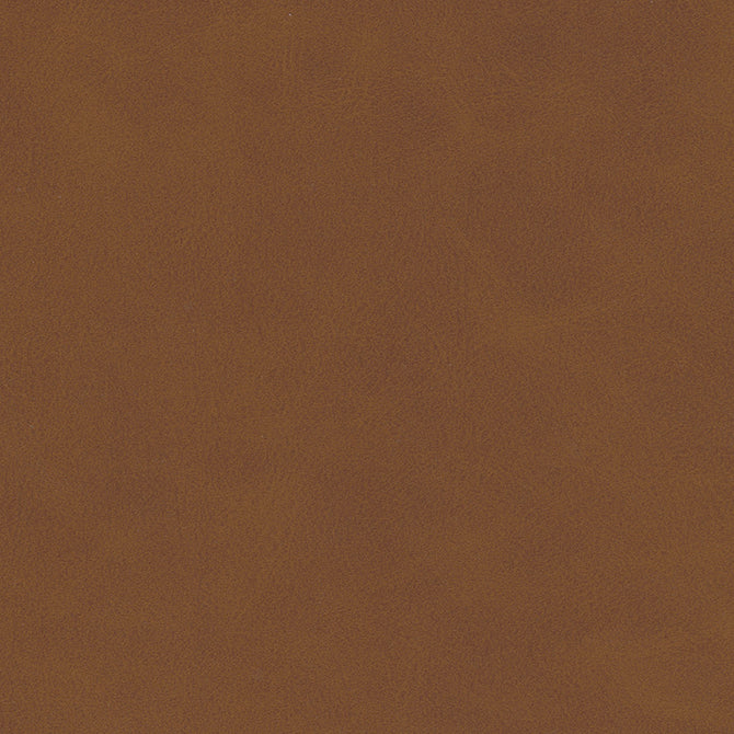 Eade’s # 833 CANYON