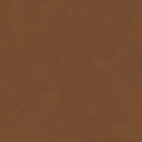 Eade’s # 833 CANYON