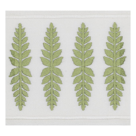 STOUT KAIL-3 KAILUA TAPE 3 MOSS Fabric - Eades Wallpaper & Fabric