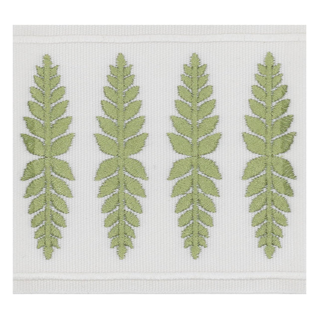 STOUT KAIL-3 KAILUA TAPE 3 MOSS Fabric - Eades Wallpaper & Fabric