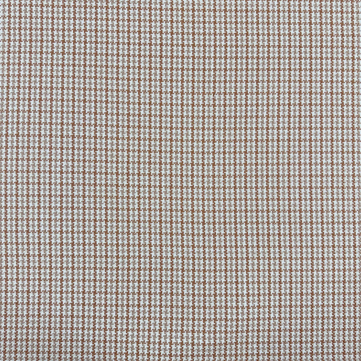 Eade’s KATRA TERRA TERRA