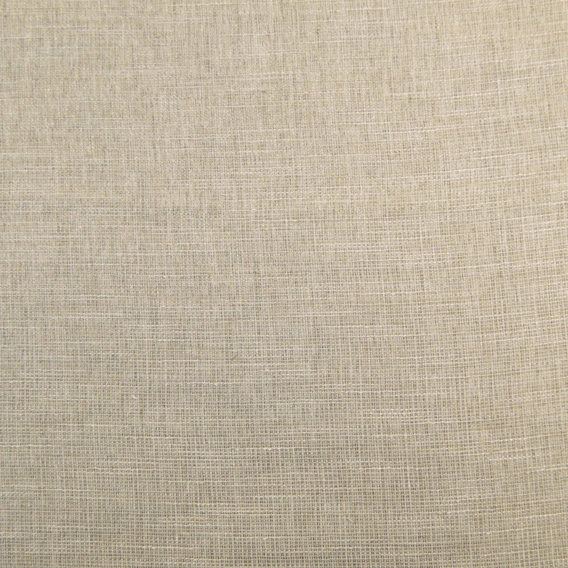 Eade’s KEY WEST PIGEON PIGEON