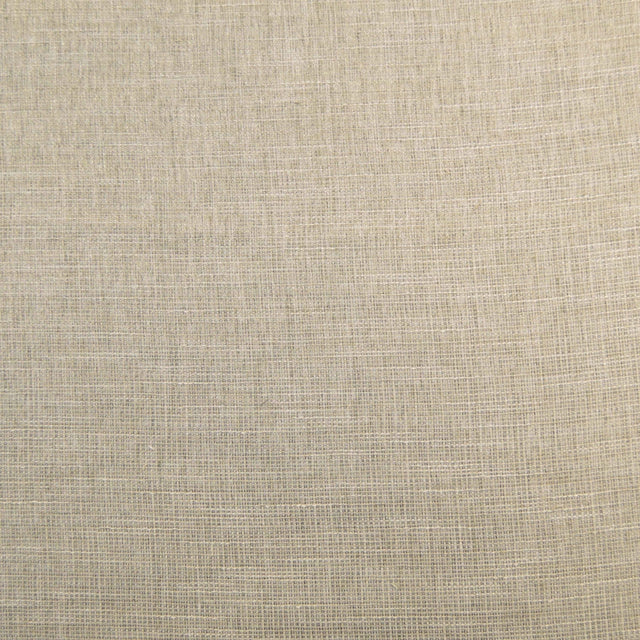 Eade’s KEY WEST PIGEON PIGEON