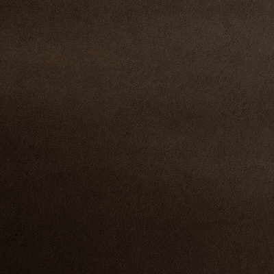 KRAVET COUTURE KID GLOVE.66.0 KID GLOVE ESPRESSO Fabric - Eade's Wallpaper