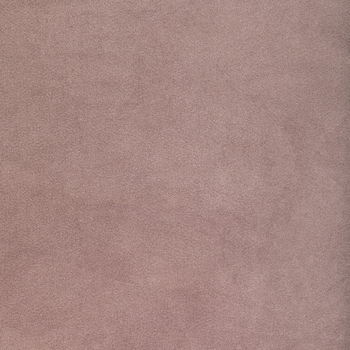 KRAVET CONTRACT KW-10065.110.0 ROCCO VELVET WISTERIA Fabric - Eade's Wallpaper