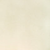 KRAVET CONTRACT KW-10065.3685MG1.0 ROCCO VELVET SNOWCAP Fabric - Eade's Wallpaper