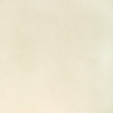 KRAVET CONTRACT KW-10065.3685MG1.0 ROCCO VELVET SNOWCAP Fabric - Eade's Wallpaper