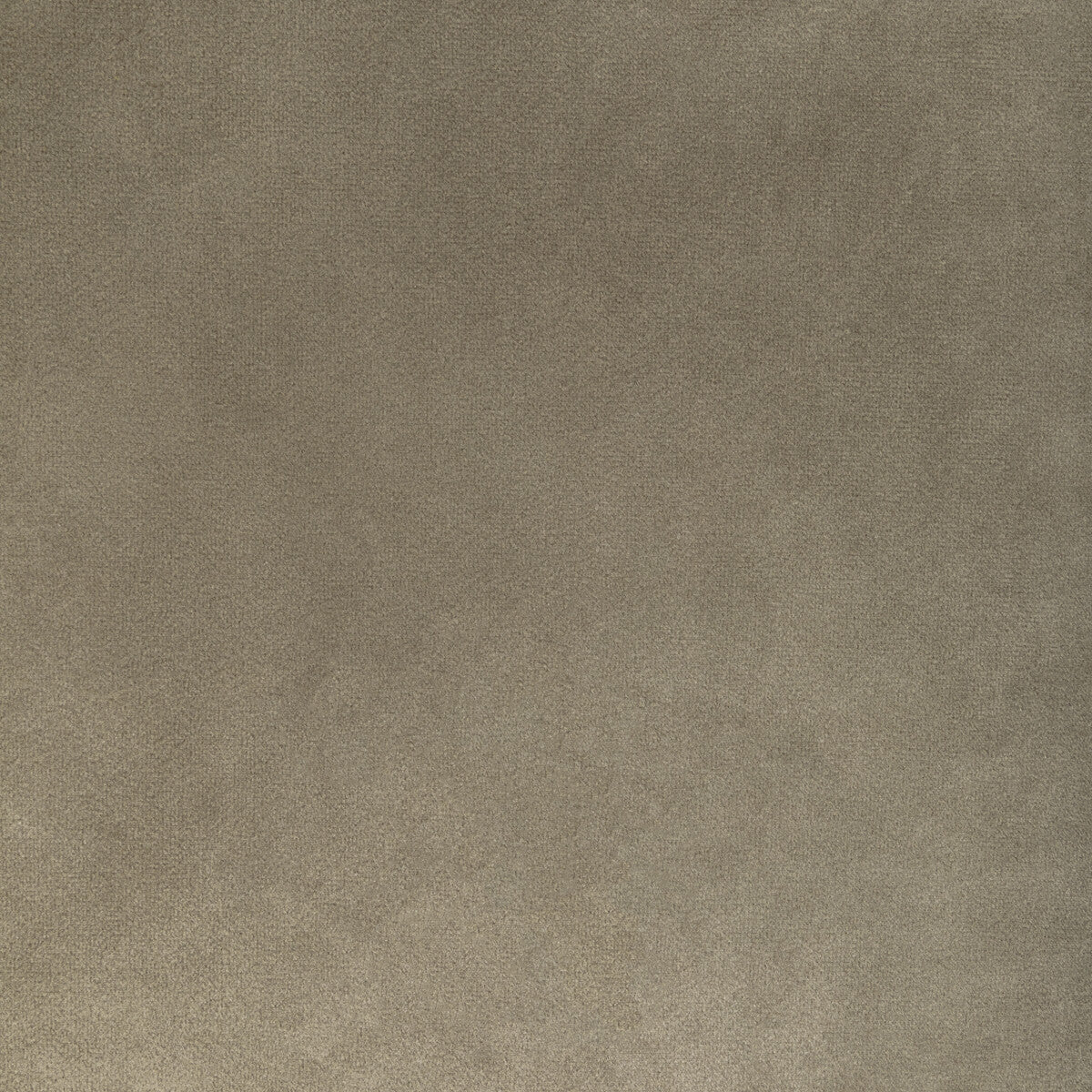 KRAVET CONTRACT KW-10065.3685MG20.0 ROCCO VELVET MINK Fabric - Eade's Wallpaper