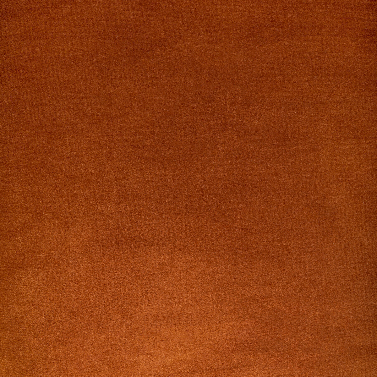 KRAVET CONTRACT KW-10065.3685MG45.0 ROCCO VELVET SPICE Fabric - Eade's Wallpaper