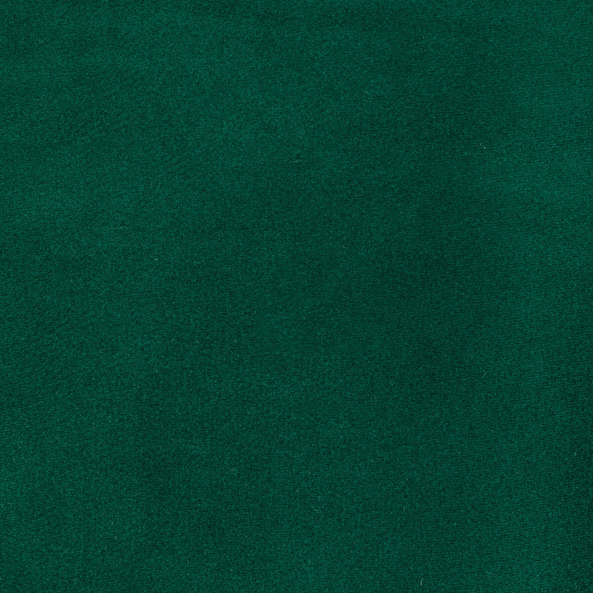 KRAVET CONTRACT KW-10065.3685MG56.0 ROCCO VELVET BOTTLE Fabric - Eade's Wallpaper