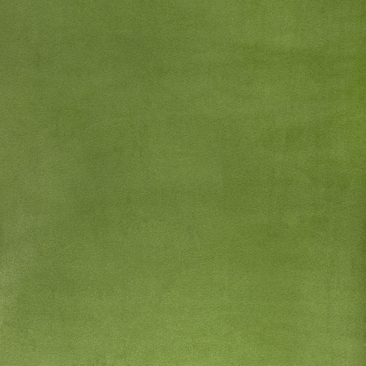 KRAVET CONTRACT KW-10065.3685MGGN.0 ROCCO VELVET CACTUS Fabric - Eade's Wallpaper