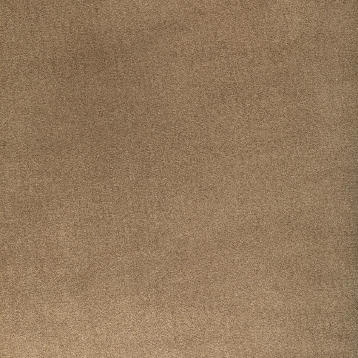 KRAVET CONTRACT KW-10065.616.0 ROCCO VELVET DUNE Fabric - Eade's Wallpaper
