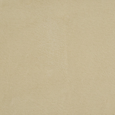KRAVET DESIGN L-ARIZONA.PUTTY.0 L-ARIZONA PUTTY Fabric - Eade's Wallpaper