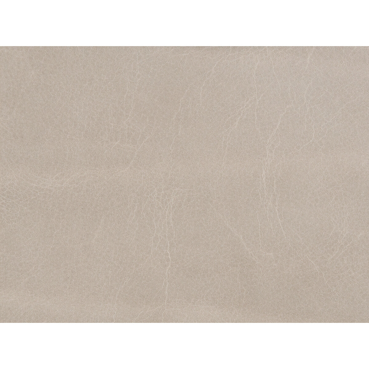 KRAVET COUTURE L-BADEN.CEMENT.0 KRAVET COUTURE L-BADEN-CEMENT Fabric - Eade's Wallpaper