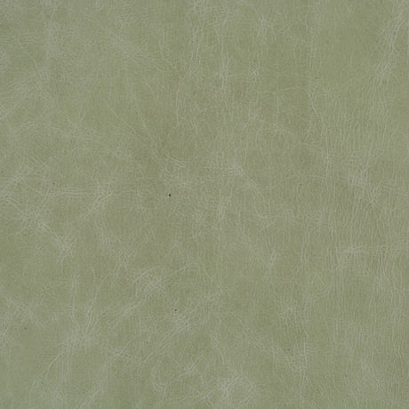KRAVET BASICS L-BEAUMONT.EUCALYPTUS.0 KRAVET BASICS L-BEAUMONT-EUCALYPTUS Fabric - Eade's Wallpaper