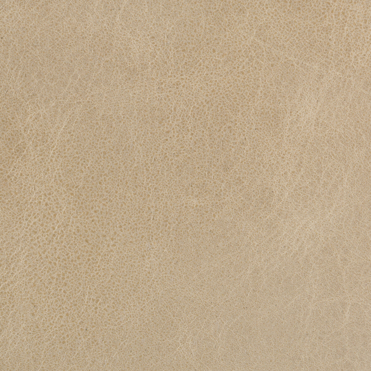 KRAVET BASICS L-BEAUMONT.OATMEAL.0 KRAVET BASICS L-BEAUMONT-OATMEAL Fabric - Eade's Wallpaper