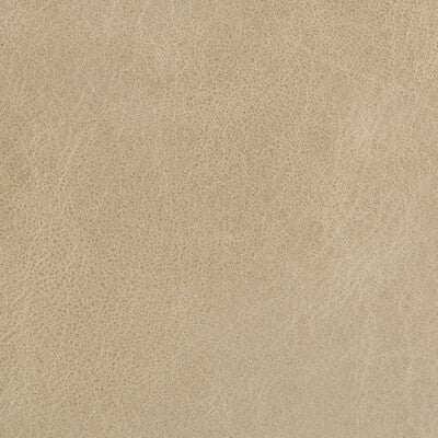 KRAVET BASICS L-BEAUMONT.OATMEAL.0 KRAVET BASICS L-BEAUMONT-OATMEAL Fabric - Eade's Wallpaper