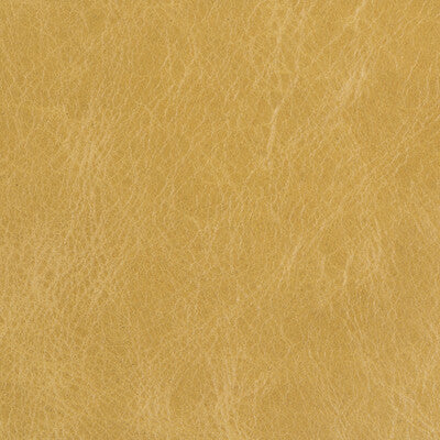 KRAVET BASICS L-BEAUMONT.SAP.0 KRAVET BASICS L-BEAUMONT-SAP Fabric - Eade's Wallpaper