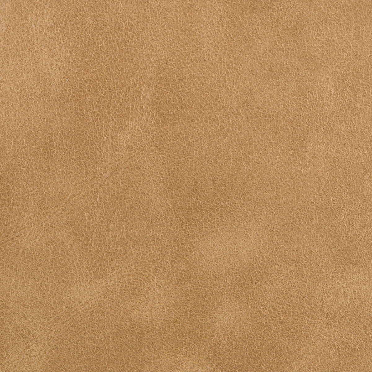 KRAVET COUTURE L-BERN.SCOTCH.0 BERN SCOTCH Fabric - Eade's Wallpaper