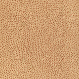 KRAVET DESIGN L-BISON.BISCOTTI.0 KRAVET DESIGN L-BISON-BISCOTTI Fabric - Eade's Wallpaper
