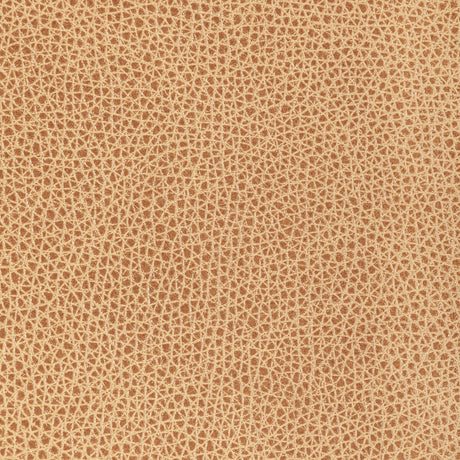 KRAVET DESIGN L-BISON.BISCOTTI.0 KRAVET DESIGN L-BISON-BISCOTTI Fabric - Eade's Wallpaper