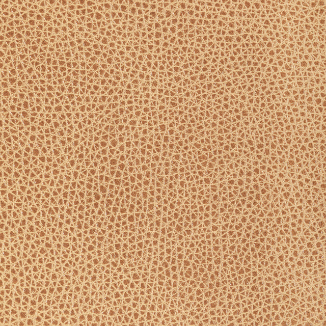 KRAVET DESIGN L-BISON.BISCOTTI.0 KRAVET DESIGN L-BISON-BISCOTTI Fabric - Eade's Wallpaper